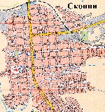 Map of Skopin